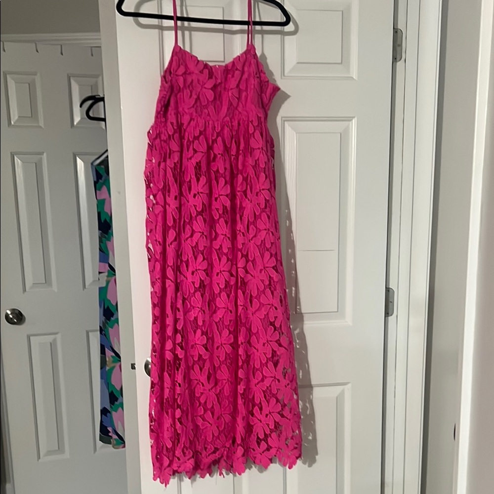 Buddy Love Pink Floral Lace Dress